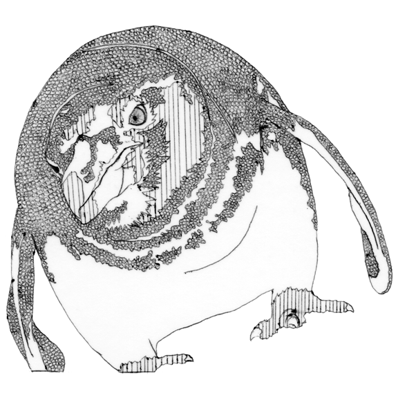 576x576 Endangered Species On Behance