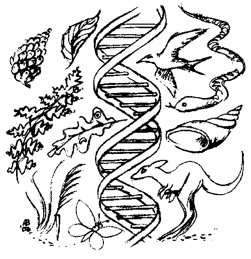 500x515 Endangered Species