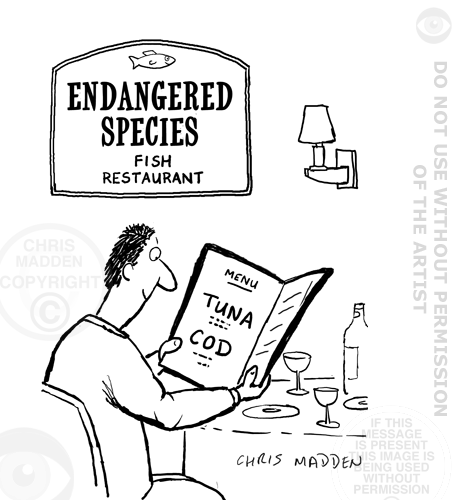 455x500 Endangered Species Cartoon
