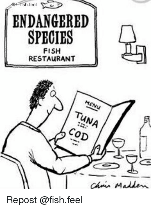 500x690 Fish Feel Endangered Species Fish Restaurant Menu Tuna Cod Ac