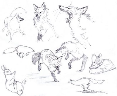 400x329 Lissa Treiman Europe Amp Mid East Let's Draw Endangered Species