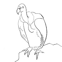 200x200 Artworks Denis Kraskovic Critically Endangered Species