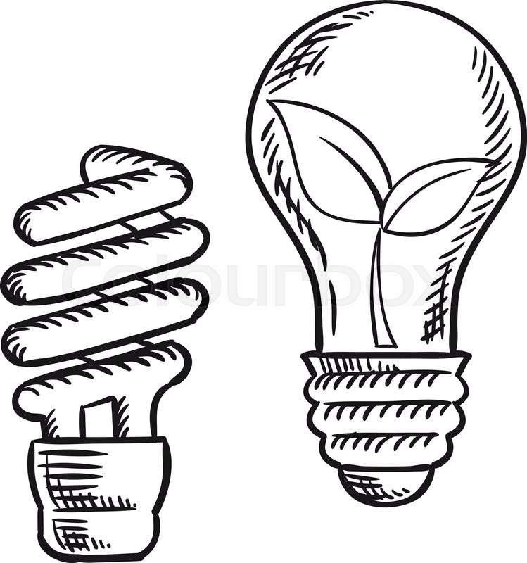 749x800 Sketch Of Fluorescent Energy Saving Light Bulb And Old