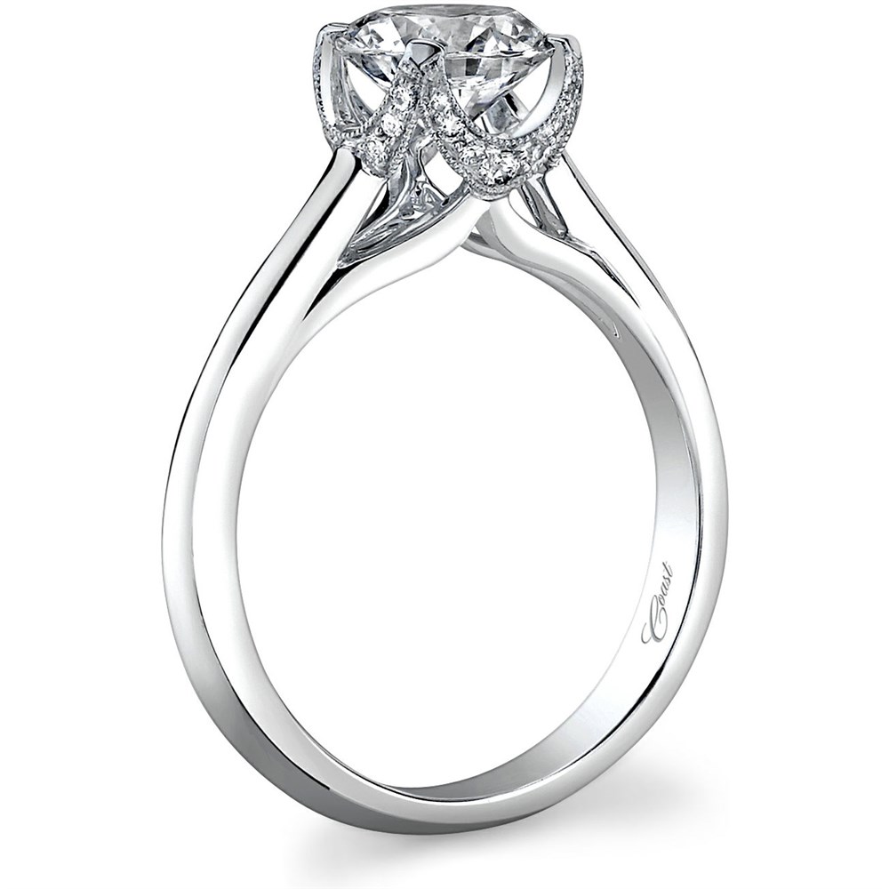 1000x1000 Coast Diamond