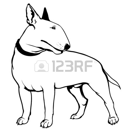 450x450 2,383 Bull Terrier Stock Vector Illustration And Royalty Free Bull