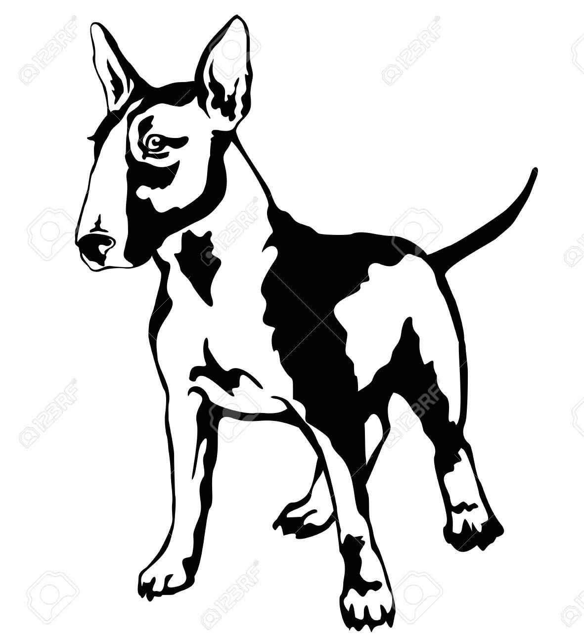 1181x1300 Decorative Portrait Of Standing In Profile Dog Bull Terrier