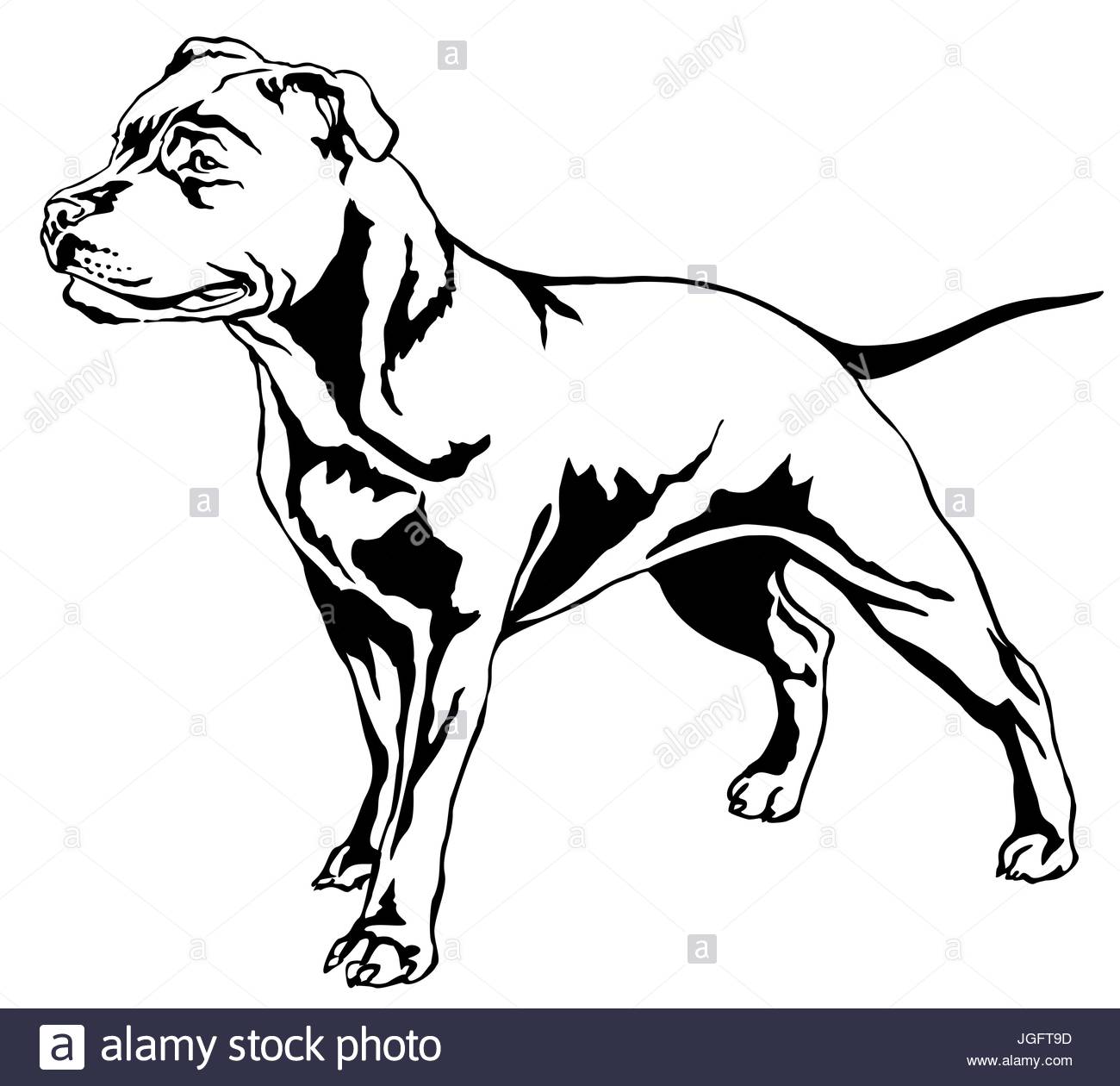 1300x1260 Decorative Portrait Of Standing In Profile Dog Staffordshire Bull