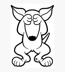 210x230 English Bull Terrier Drawing Photographic Prints Redbubble