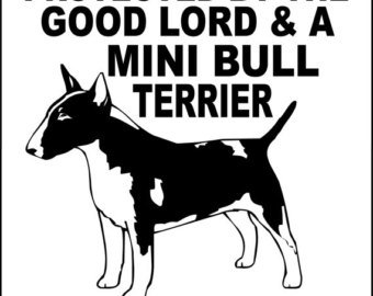 340x270 Mini Bull Terrier Etsy