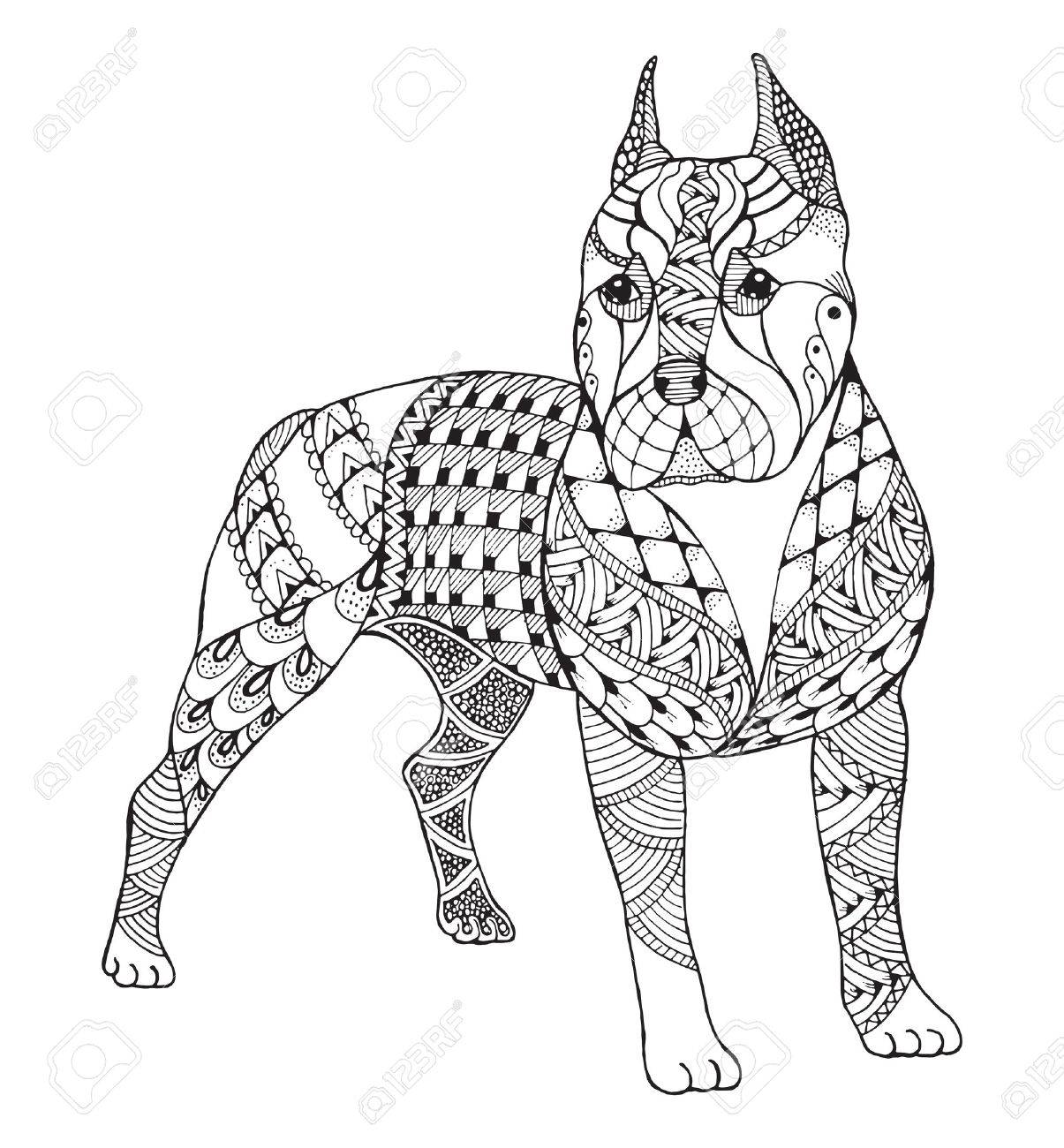 1205x1300 Pit Bull Terrier Zentangle Stylized, Vector, Illustration