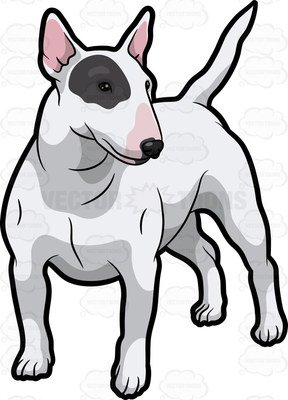 288x400 A White Bull Terrier A Black Patch Over One Eye