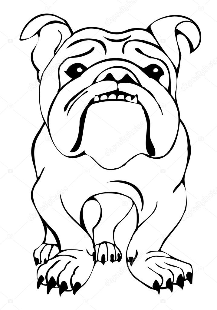 717x1024 English Bulldog Standing Stock Vector Minyanna