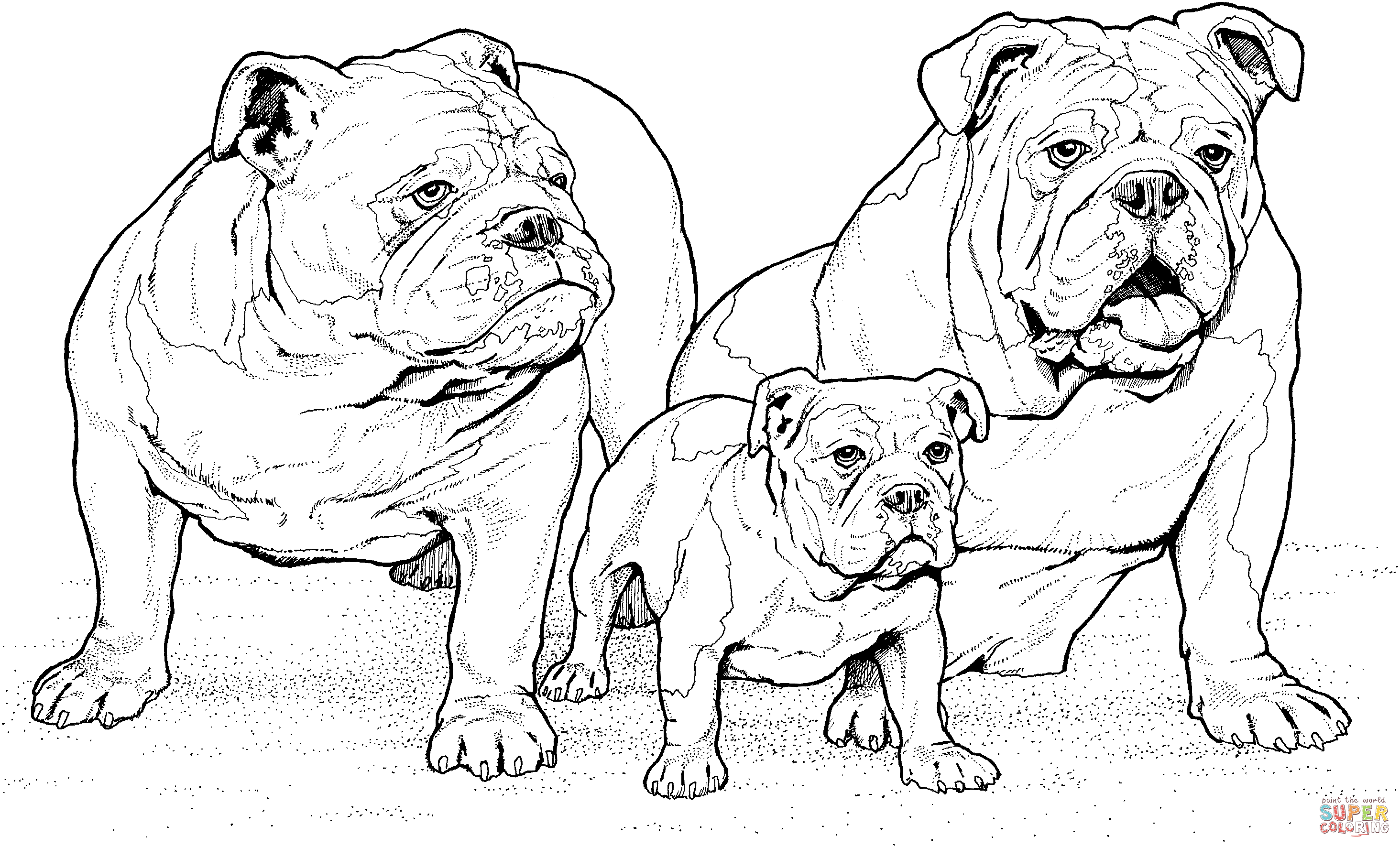 2928x1772 English Bulldogs With Puppy Coloring Page Free Printable