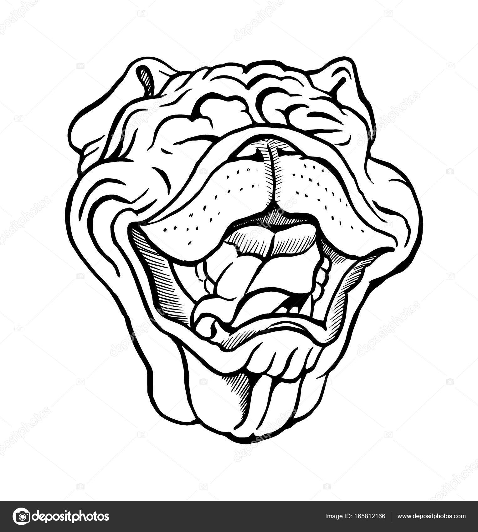 1527x1700 English Bulldog Portrait Stock Vector Minyanna