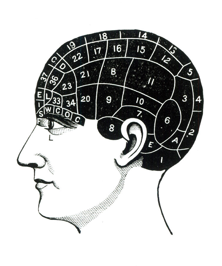 753x900 Domestic Propensities Drawing By English School
