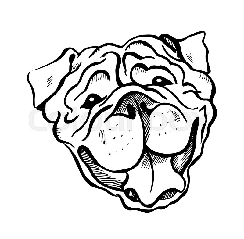 800x784 English Bulldog, Smiling Dog Face, Portrait, Sketch, Black