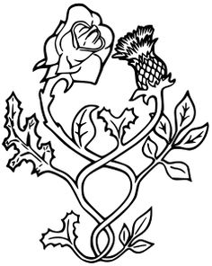 236x296 Scottish Thistle Entwined With The English Rose Tattoo Ideas