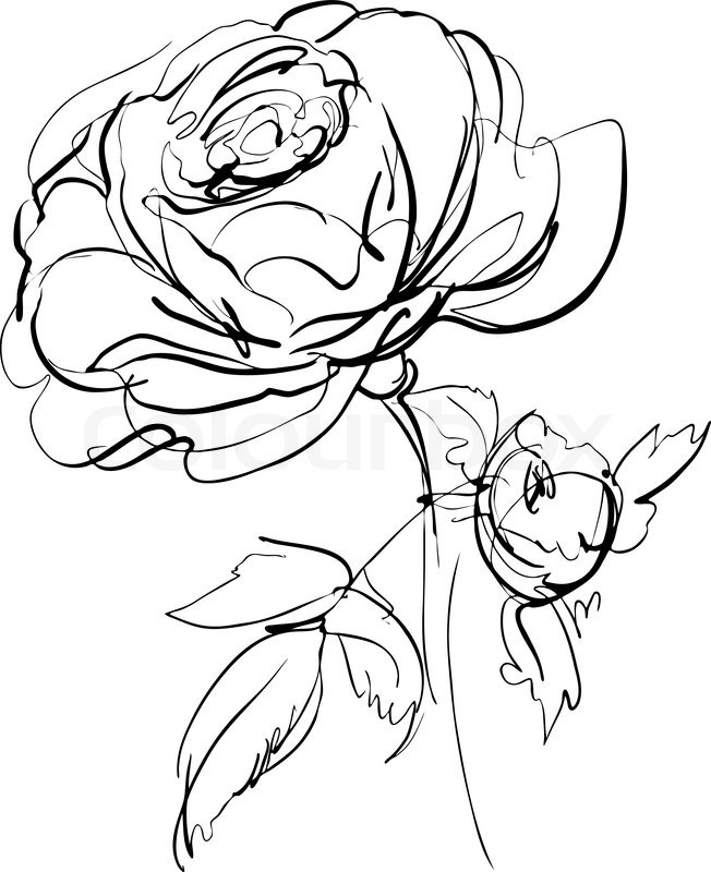 652x800 Stock Vector