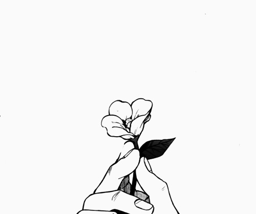 500x418 Image Via We Heart It