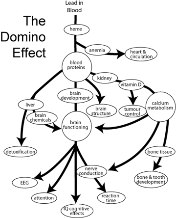 360x444 Neurobehavioural Health Effects