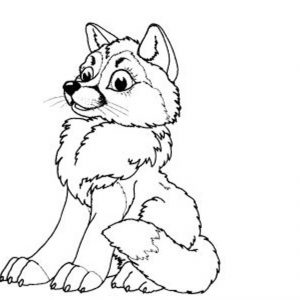300x300 Epic Wolf Coloring Pages New Wolf Coloring Pages Two Wolves