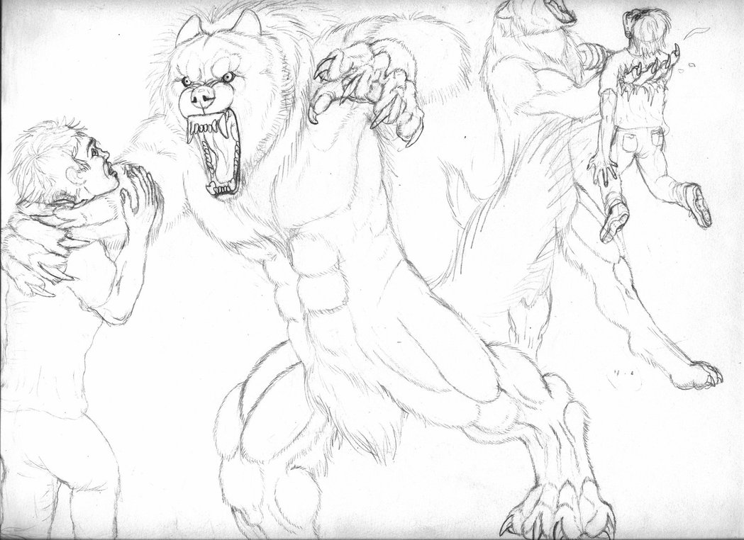 1049x762 Epic Wolf Face By Dragonio3