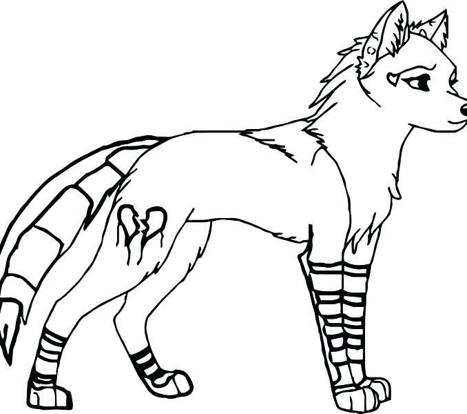678x600 Coloring Pages Of Wolfs Pin Wolf Realistic 4 Coloring Pages Baby