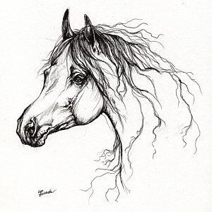300x300 Horse Drawing Prints