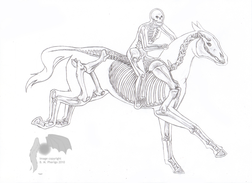 878x638 Horse And Rider By On @ Animal