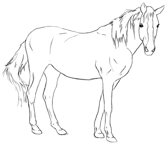 576x494 How To Draw A Horse Horse Drawn, Horse And Drawings