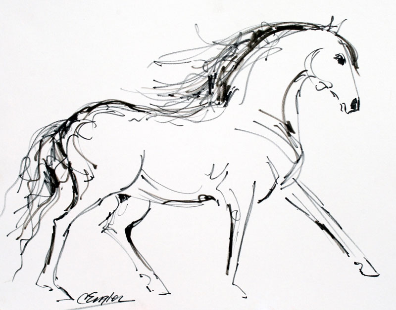 800x628 A Proud Stallion Two, Equine Ink Drawing By Carol Engles Original