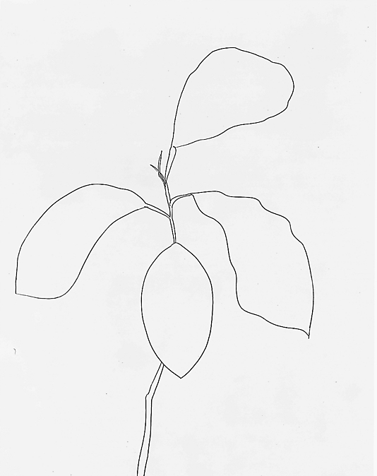 534x674 Who Wants To Join Me For A Road (Er Train) Trip To See Ellsworth