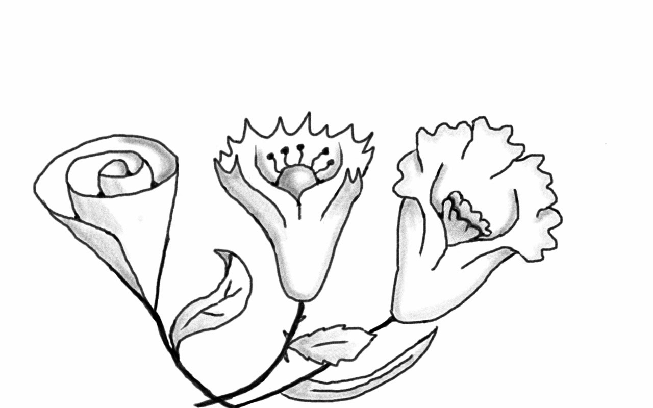 1280x800 30 Something Thoughts Erasers And Guidelines