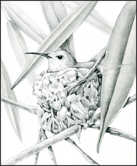 443x539 Tips On Lifting Mistakes (Even Coffee Spills!) From A Drawing