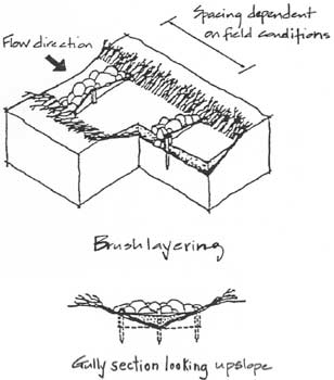 308x350 Gully Erosion. Drawing Illustrating Brush Layering Over A Gully