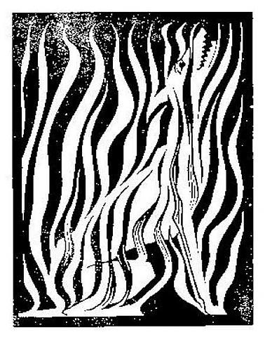 378x480 M.c. Escher Artnet Page 3