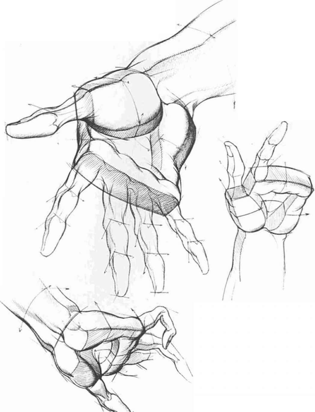 1049x1373 Forms And Structures