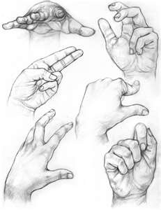 231x300 42 Best Draw Port Hands Feet Images On Drawing Hands