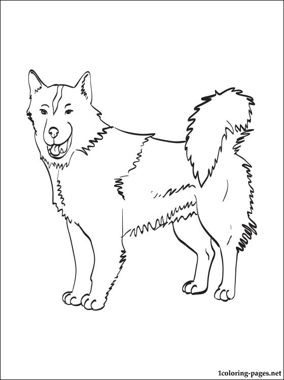 560x750 Canadian Eskimo Dog Coloring Page Coloring Pages