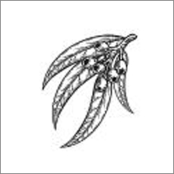 250x250 Eucalyptus Oil