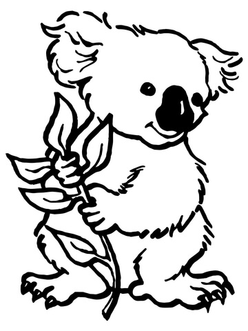360x480 Koala With Eucalyptus Leaf Coloring Page Free Printable Coloring