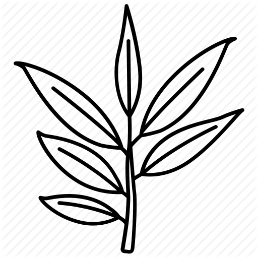 512x512 Bush, Eucalyptus, Gum, Leaf, Tree, Willow Icon Icon Search Engine