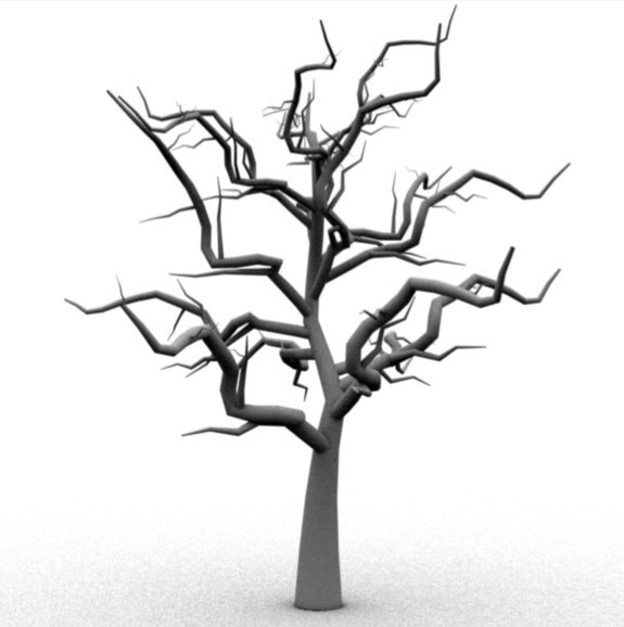 Eucalyptus Tree Drawing