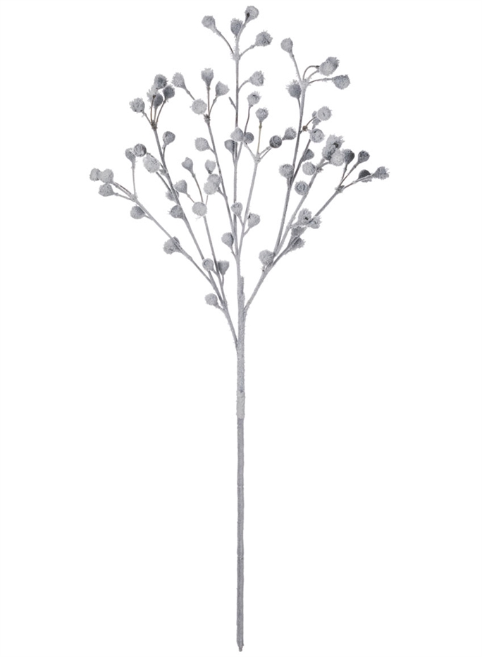 684x932 Eucalyptus W Snow Spray Sullivans