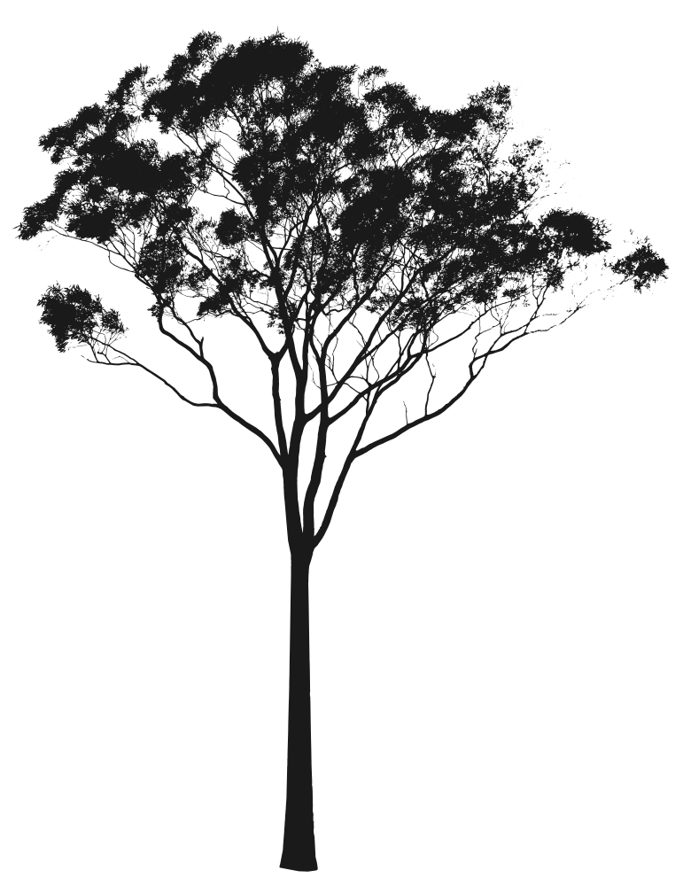 771x1000 Eucalyptus Or Gum Tree Silhouette Australia Tattoos And Art