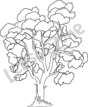 343x420 Lesson Zone Au