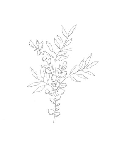 377x480 Annie Mcdonald Eucalyptus Spring Print Myth Amp Symbol