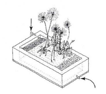 367x324 Evapo Transpiration Beds Sswm