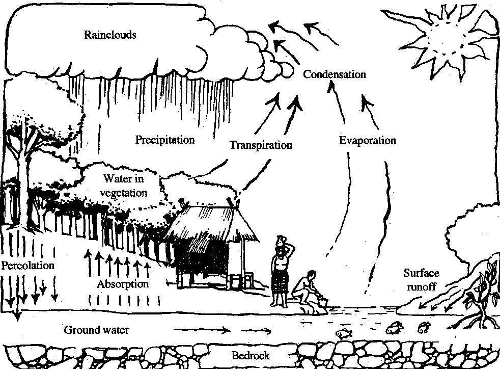 982x724 Human Intrusions Into The Water Cycle