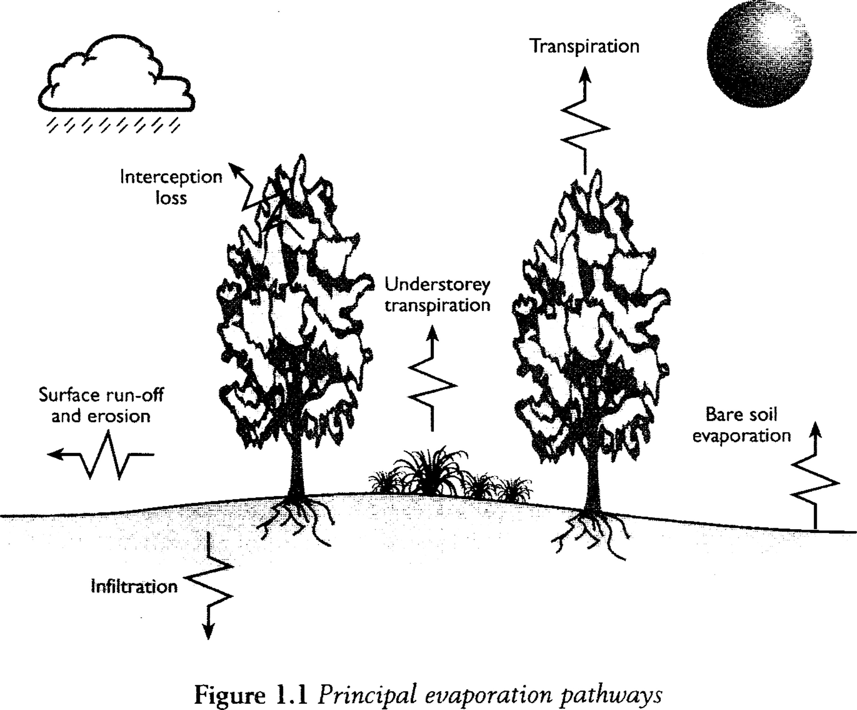 3000x2484 Is The Hydrologic Cycle Sustainable